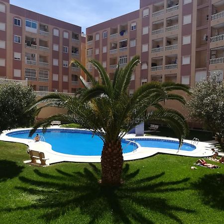 Bonito Apartamento En Торевьиа Экстерьер фото