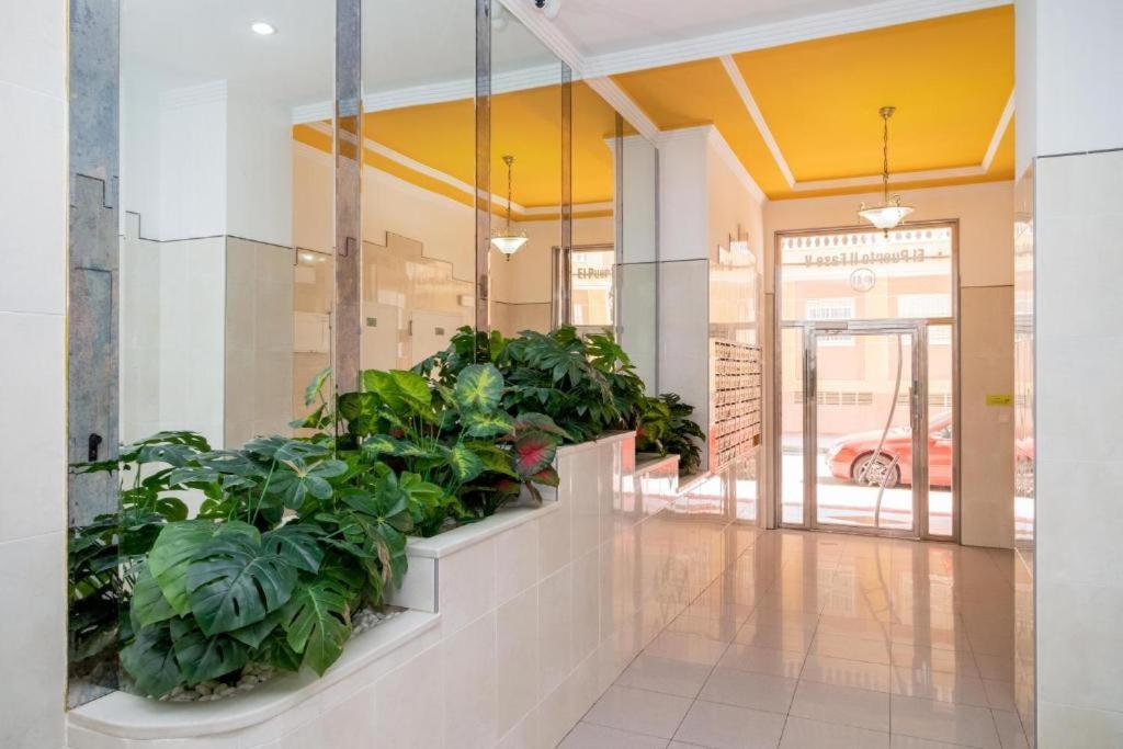 Bonito Apartamento En Торевьиа Экстерьер фото
